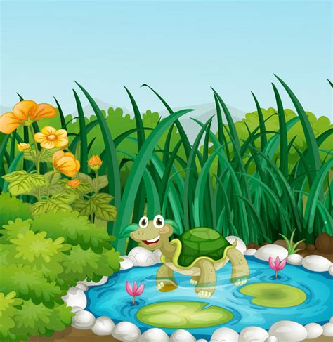 树图片 夢到烏龜在水裡